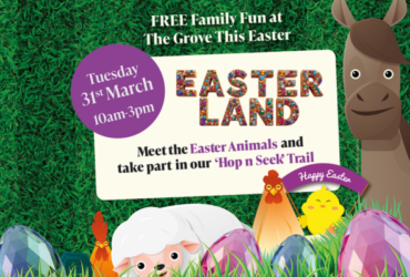 The Grove - Web Article (9)