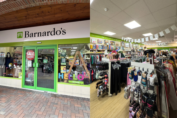 The Grove - Web Article (20)